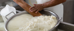 Caglio e formaggio